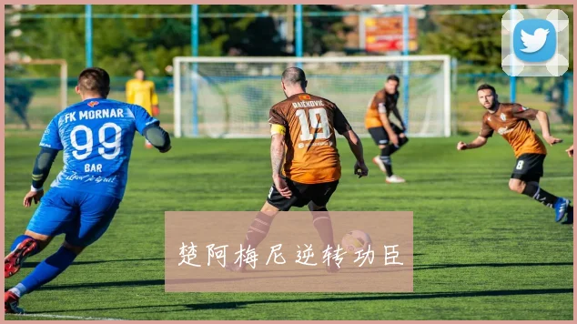 楚阿梅尼逆转功臣