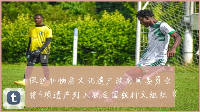 保护非物质文化遗产政府间委员会将4项遗产列入联合国教科文组织《急需保护的非物质文化遗产名录》