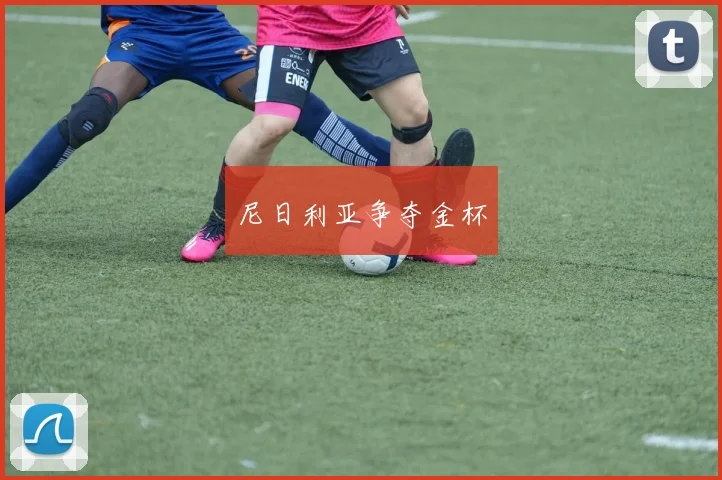 尼日利亚争夺金杯