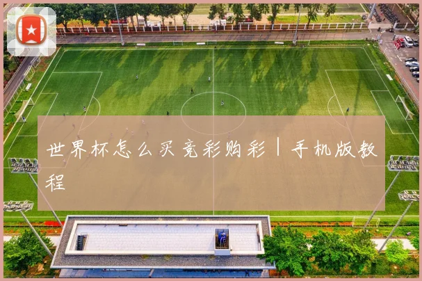 世界杯怎么买竞彩购彩｜手机版教程