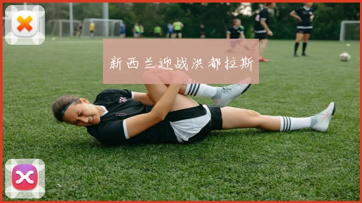 新西兰迎战洪都拉斯