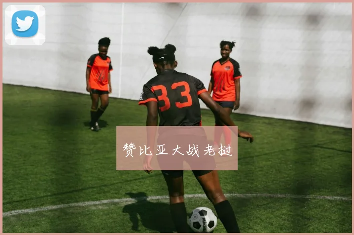 赞比亚大战老挝
