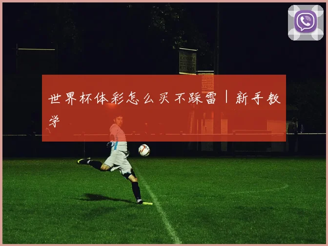 世界杯体彩怎么买不踩雷｜新手教学