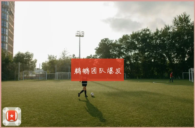 鹈鹕团队爆发