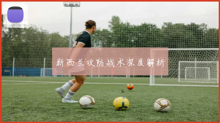 新西兰攻防战术深度解析