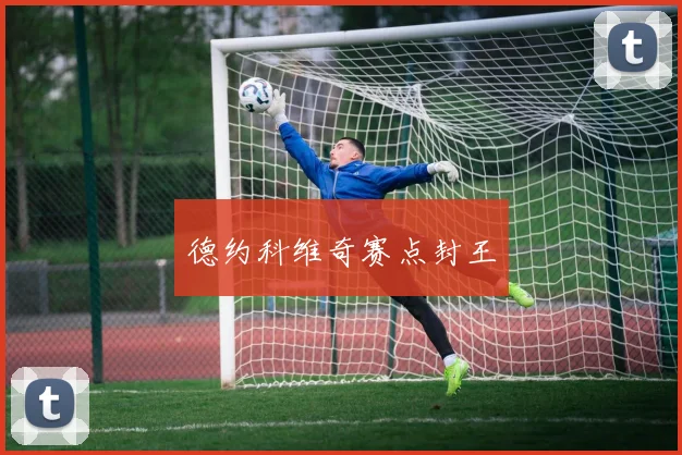 德约科维奇赛点封王