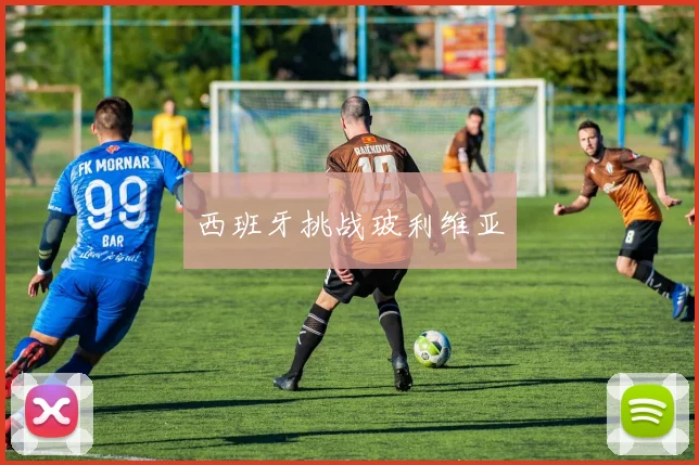 西班牙挑战玻利维亚