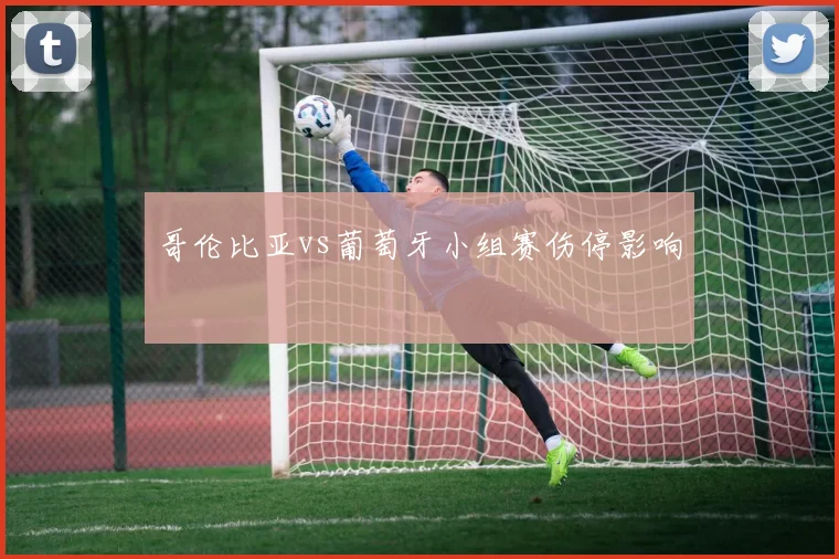 哥伦比亚vs葡萄牙小组赛伤停影响