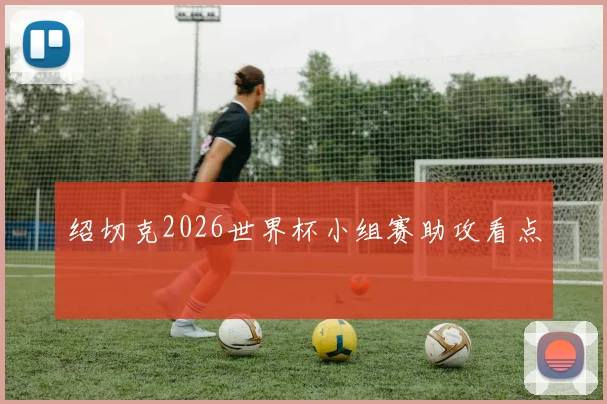 绍切克2026世界杯小组赛助攻看点