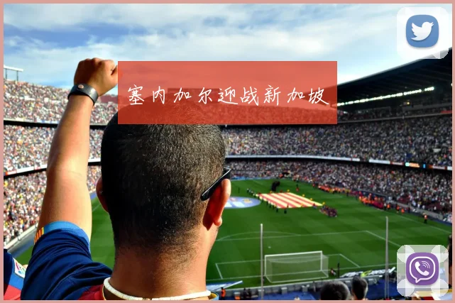 塞内加尔迎战新加坡