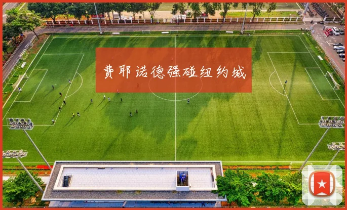 费耶诺德强碰纽约城