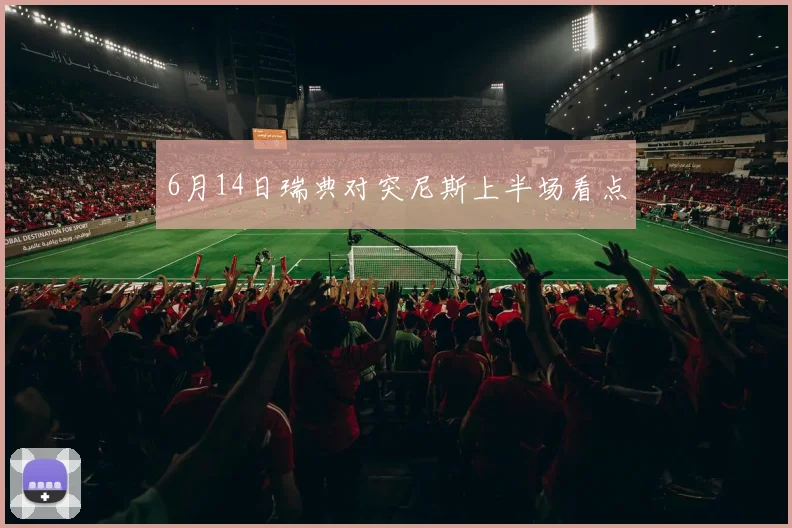 6月14日瑞典对突尼斯上半场看点