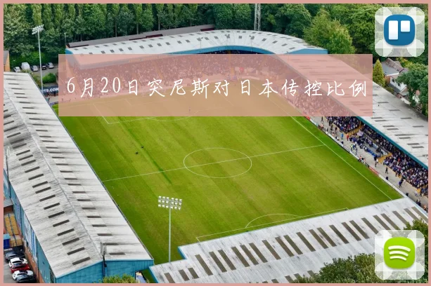 6月20日突尼斯对日本传控比例